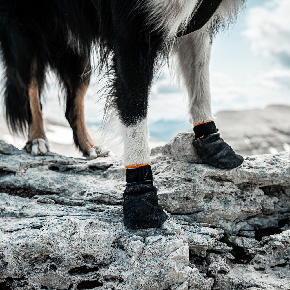 Non-stop Dogwear Protector Bootie (Pack of 4)