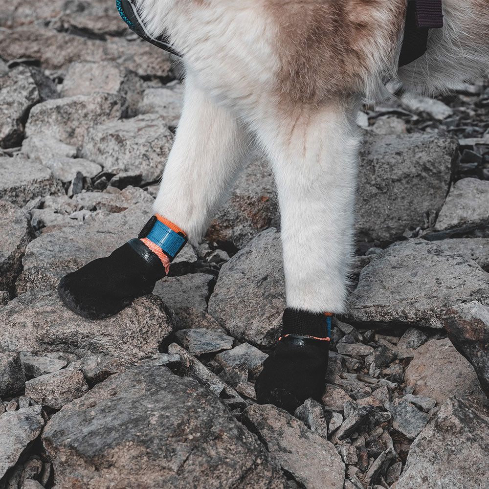 Non-stop Dogwear Protector Bootie (Pack of 4)