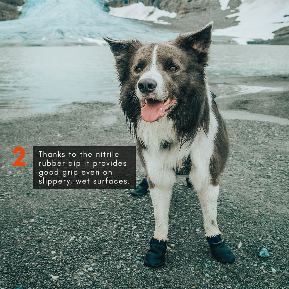 Non-stop Dogwear Protector Bootie (Pack of 4)