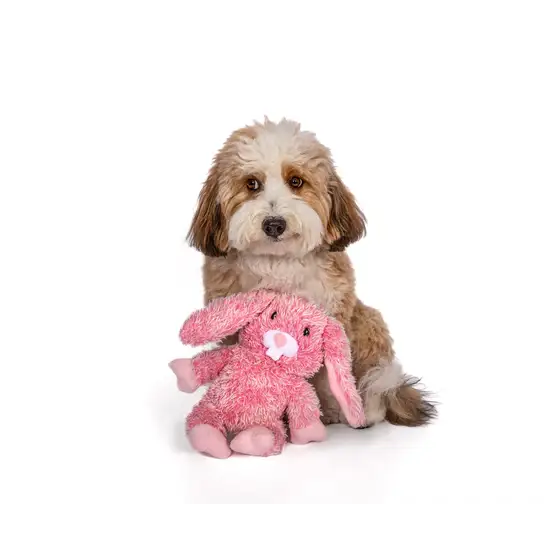 fabdog® Fluffy Bunny - Dog Toys