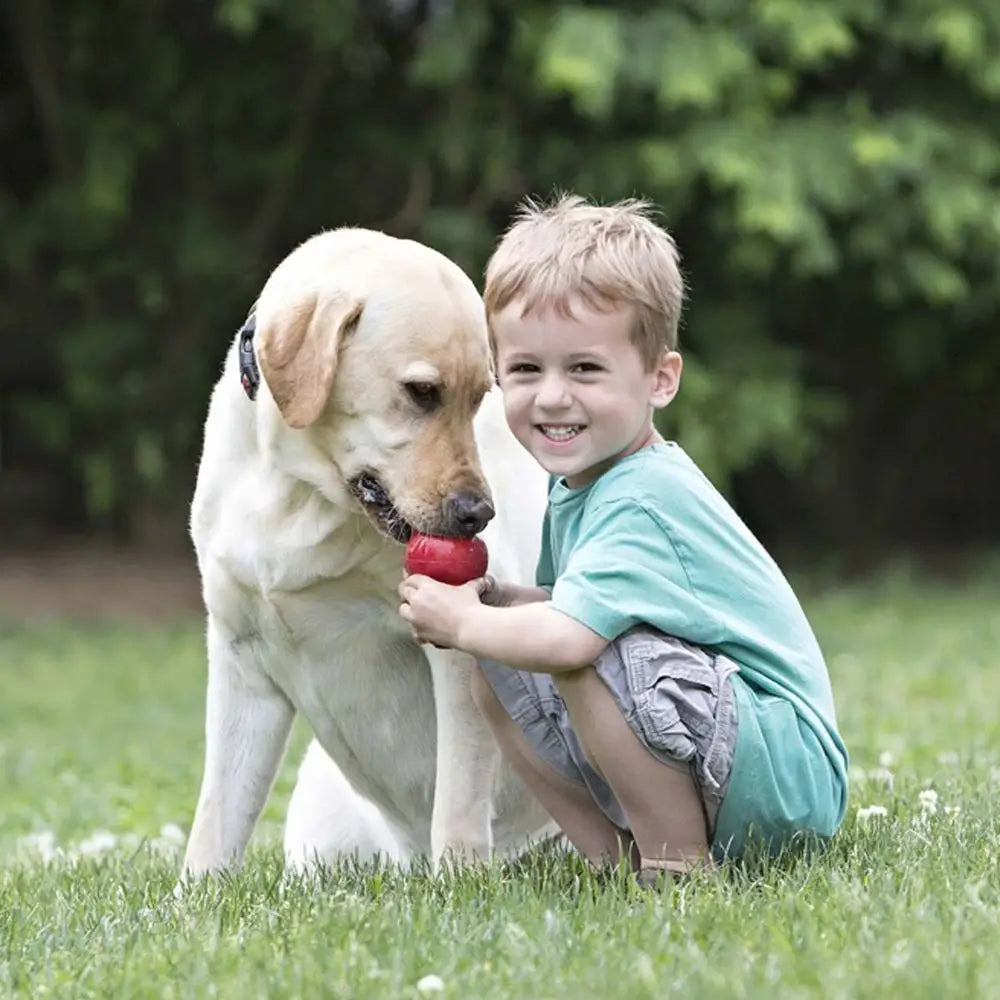KONG Classic (Medium) - Medium - Dog Toys