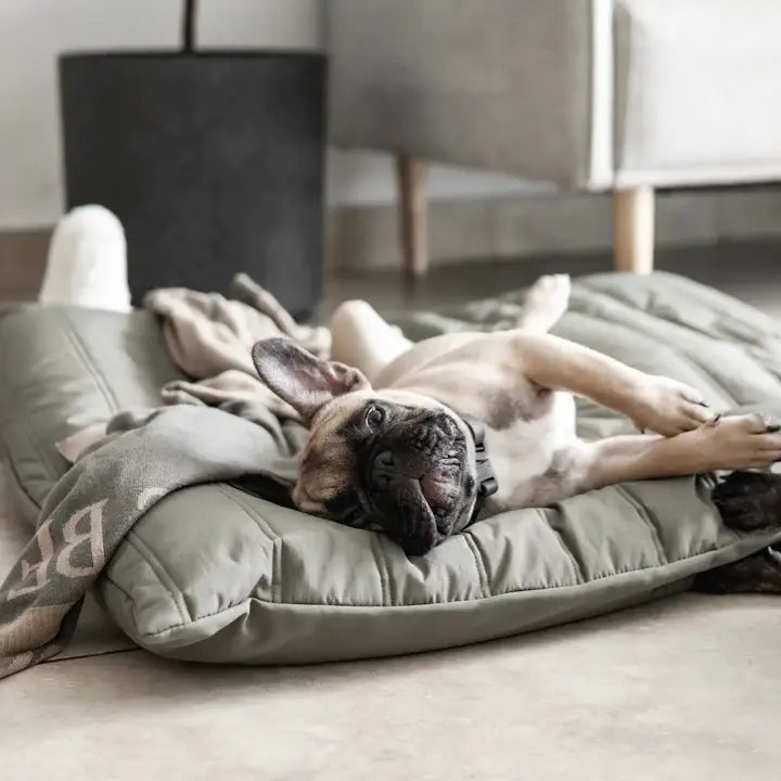 Lambwolf Collective MAATIN Dog Bed (KOALA) - Dog Bed