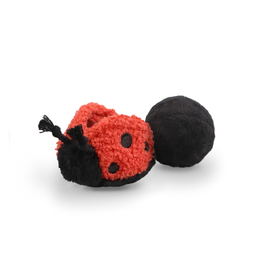 Lambwolf Ladybug Pop (Squeaky & Bouncy Dog Toy) - Dog Toys