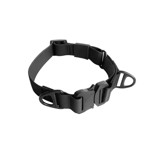 Lambwolf AVA martingale Waterproof Collar (BLACK) - Dog