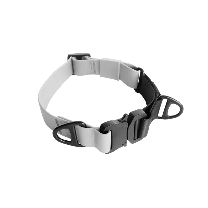 Lambwolf AVA martingale Waterproof Collar (MOON) - Dog
