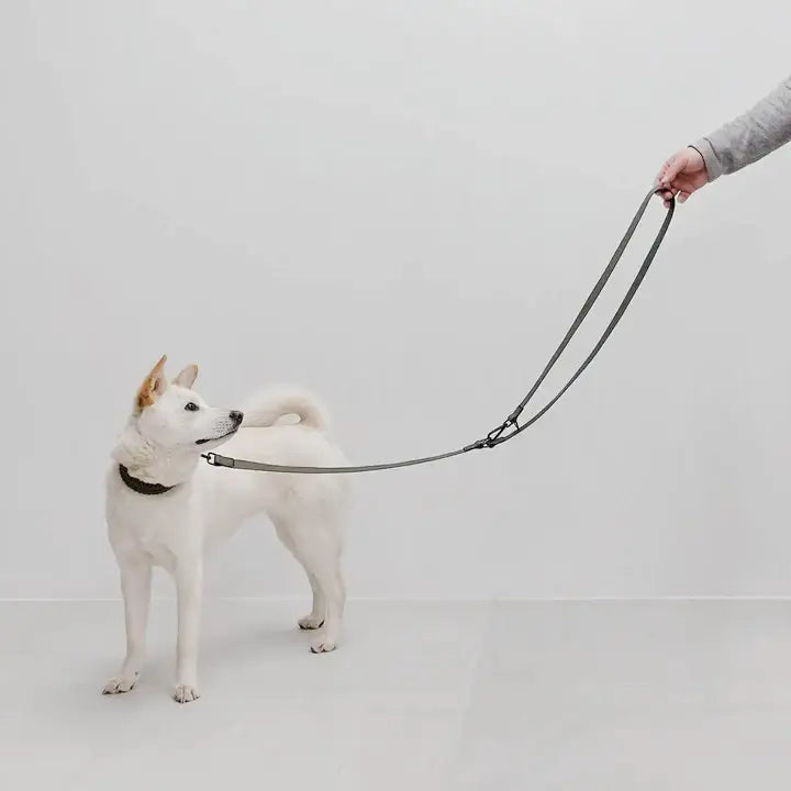 Lambwolf MELLEM wide Waterproof Convertible Leash (MOON) -
