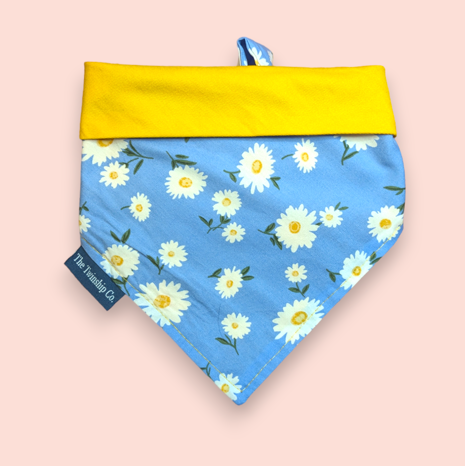 Reversible Pet Bandana: "So Spoiled" (Medium)