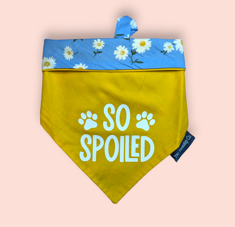 Reversible Pet Bandana: "So Spoiled" (Medium)