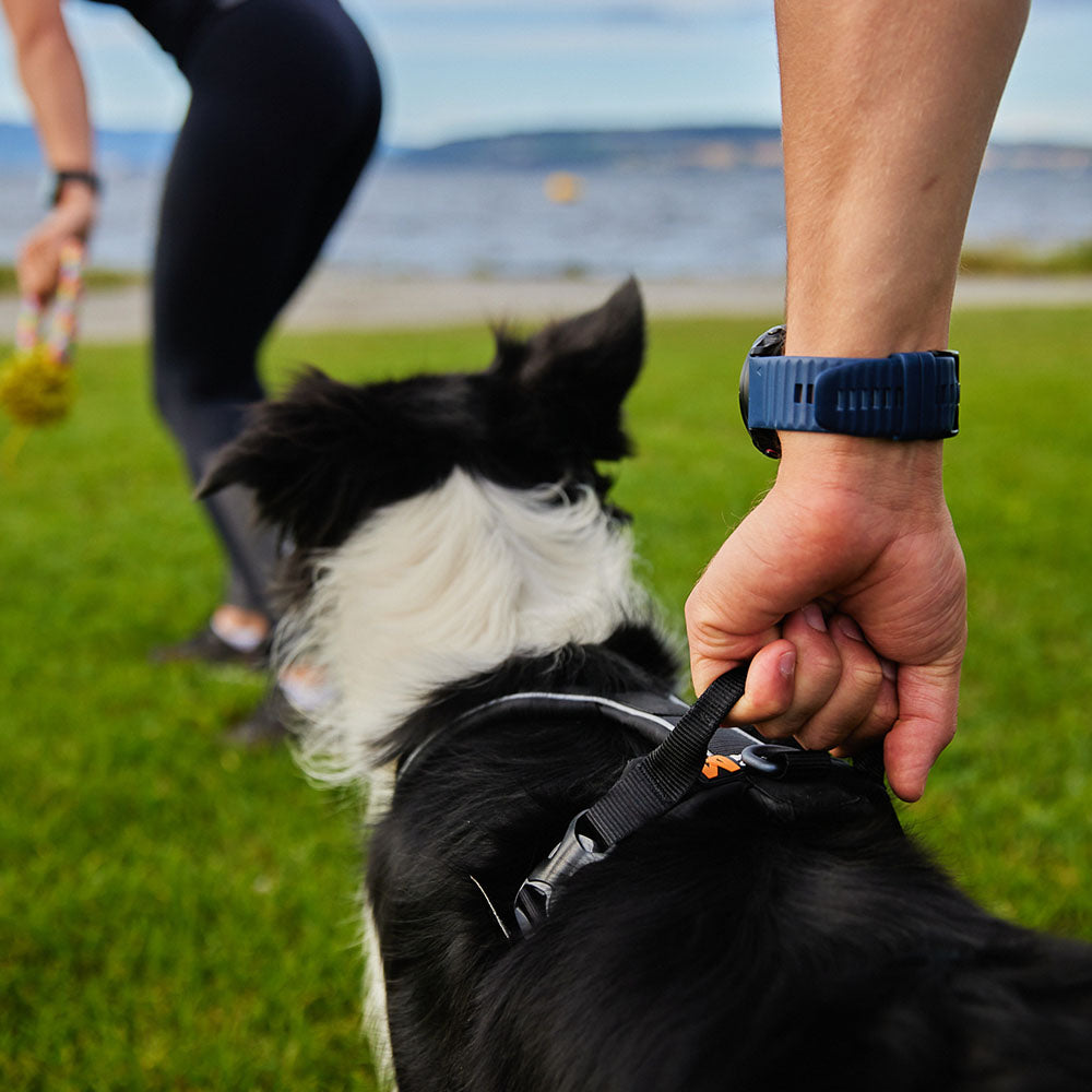 Non-stop Dogwear Line Harness Grip (Black)