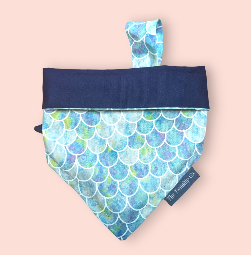 Reversible Pet Bandana: "靠脸吃饭" (Small)
