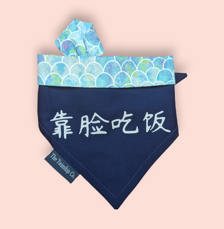 Reversible Pet Bandana: "靠脸吃饭" (Small)