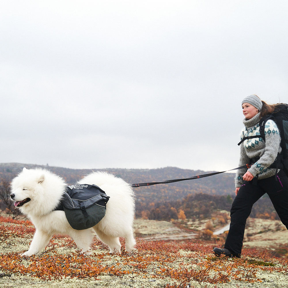 Non-stop Dogwear Touring Bungee Adjustable Leash