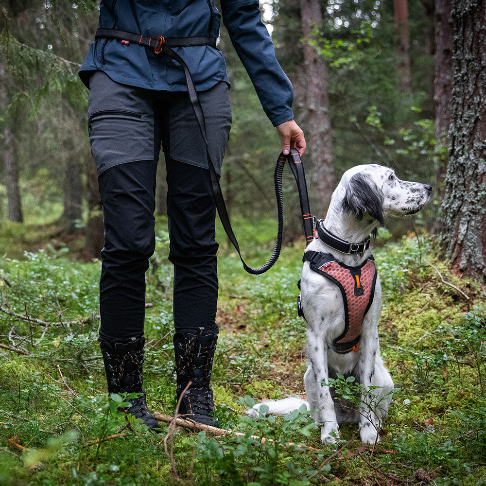 Non-stop Dogwear Touring Bungee Adjustable Leash