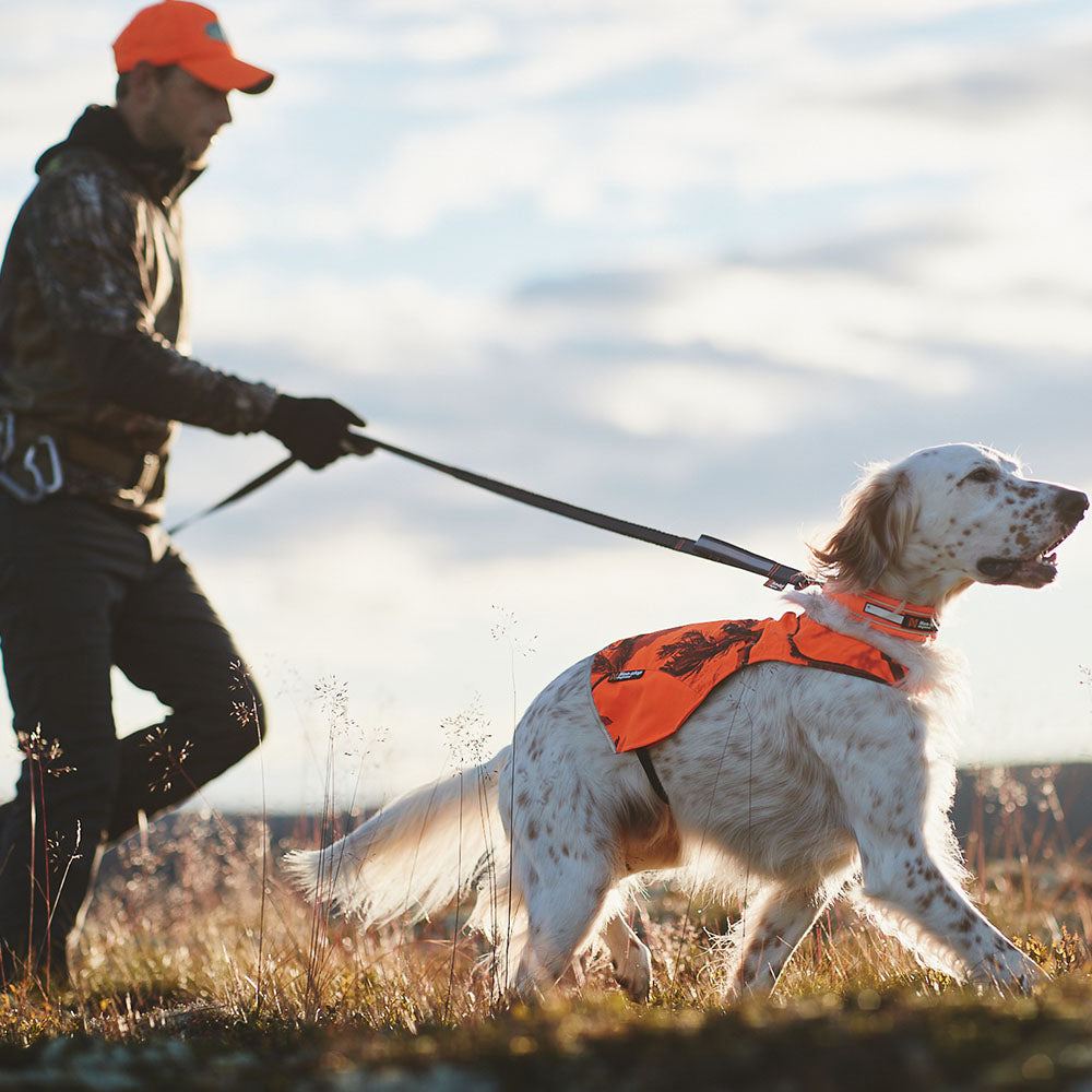 Non-stop Dogwear Touring Bungee Adjustable Leash
