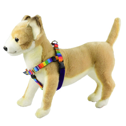 MINI Freedom No-Pull Dog Harness & Leash - Rainbow Stripe - 13-16" Chest