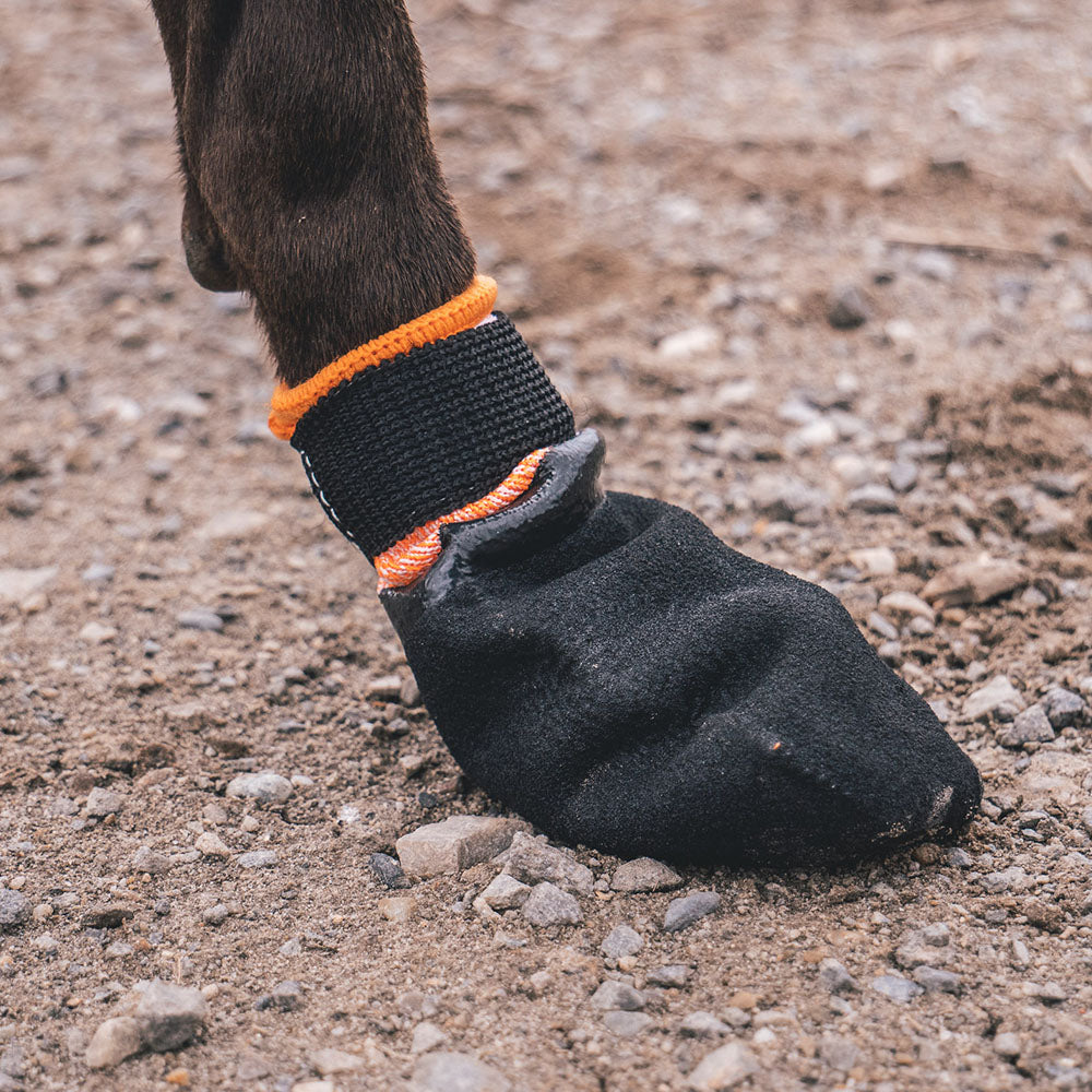 Walking booties for on sale dogs