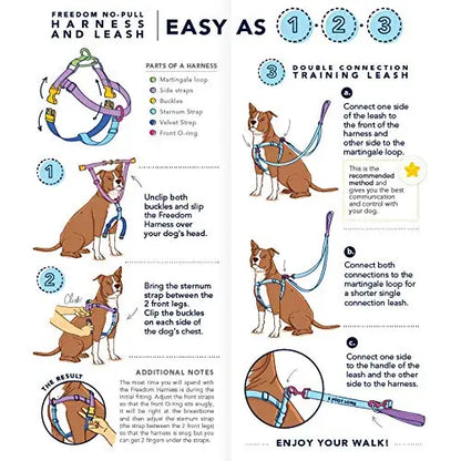 Freedom No-Pull Dog Harness & Leash (Paw Paisley) -