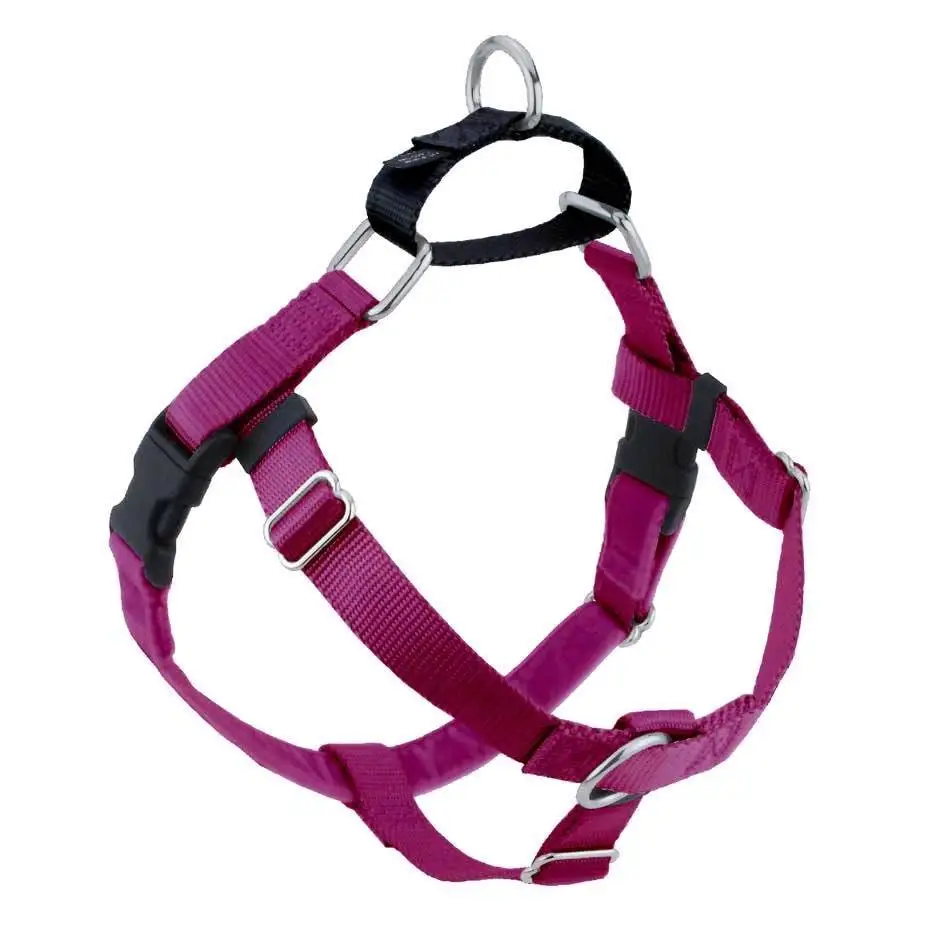 Freedom No-Pull Dog Harness & Leash (Raspberry) - Harness