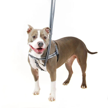 Freedom No-Pull Dog Harness & Leash (Reflective Black) -