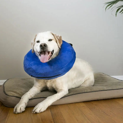 KONG Cloud™ Collar - Dog Recovery Collars