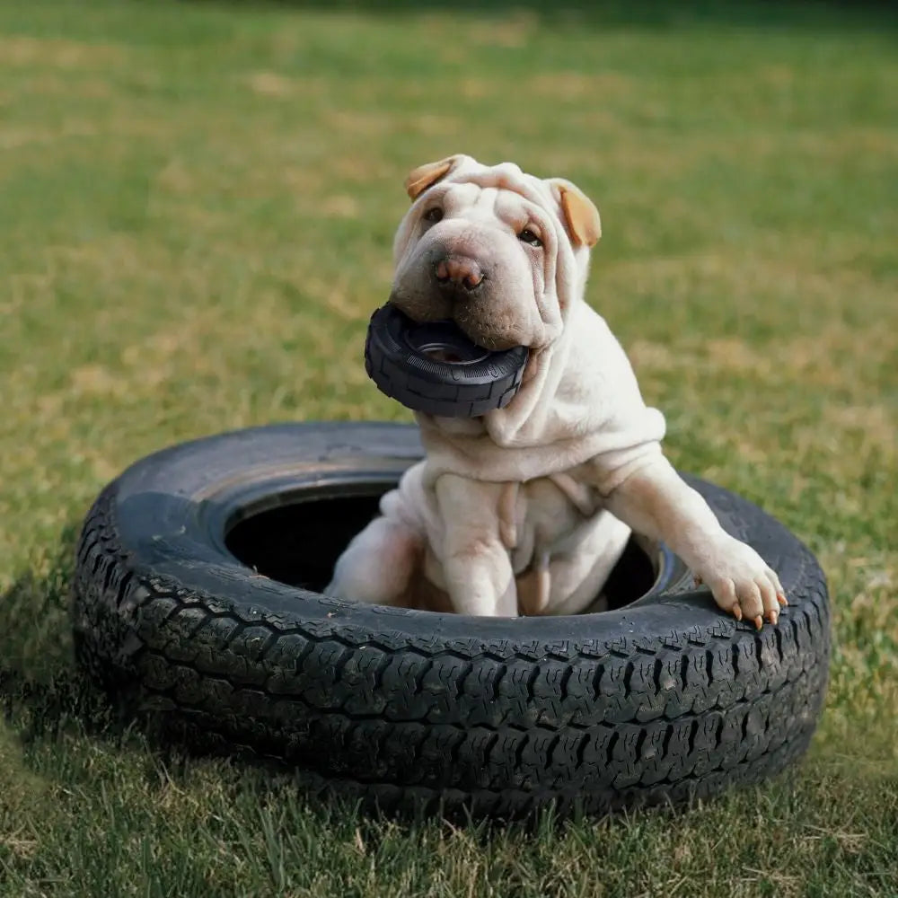 KONG Extreme Tires Small - Small - Dog Toys