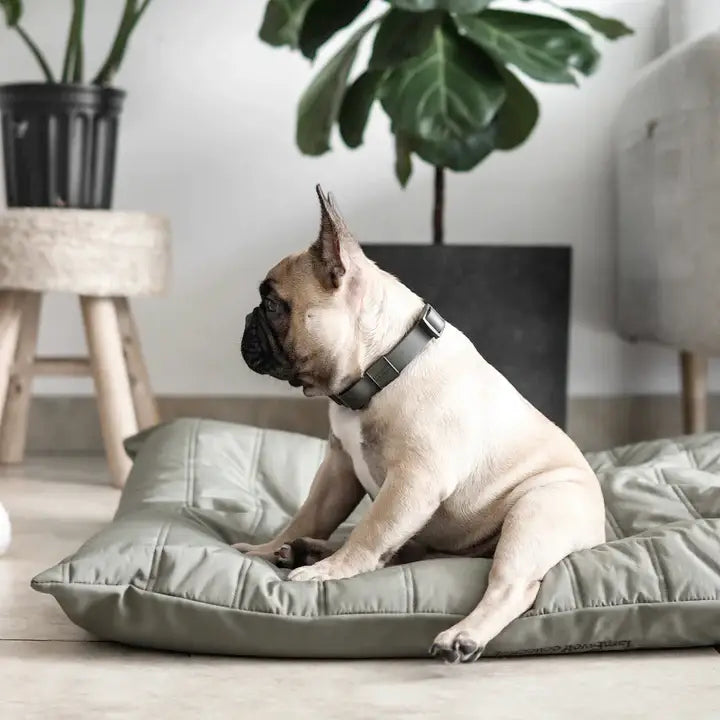 Lambwolf Collective MAATIN Dog Bed (KOALA) - Dog Bed