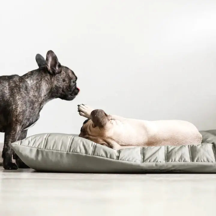 Lambwolf Collective MAATIN Dog Bed (KOALA) - Dog Bed