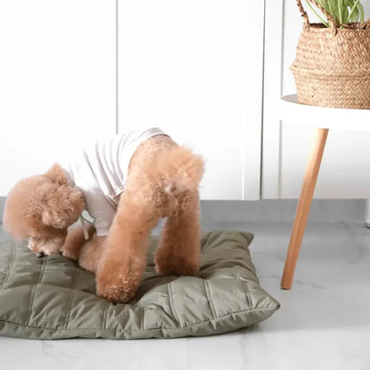 Lambwolf Collective MAATIN Dog Bed (KOALA) - Dog Bed