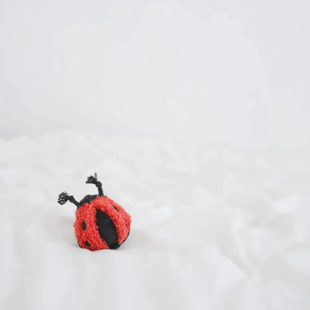 Lambwolf Ladybug Pop (Squeaky & Bouncy Dog Toy) - Dog Toys