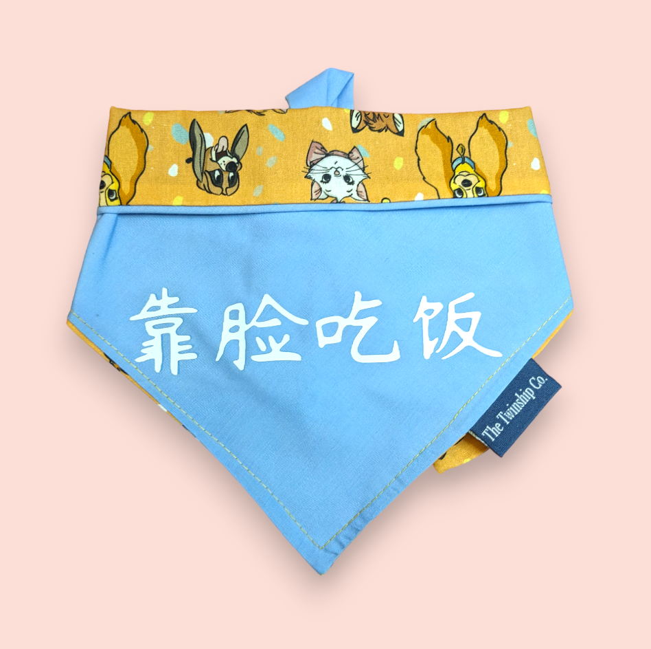 Reversible Pet Bandana: "靠脸吃饭" (Medium)